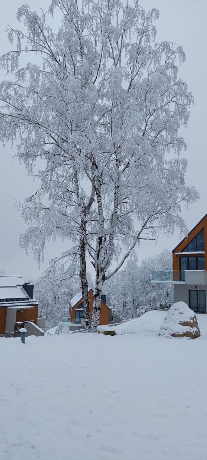 Pod Lasem I Z Tarasem - Powrocisz Tu Hillside Apartament *